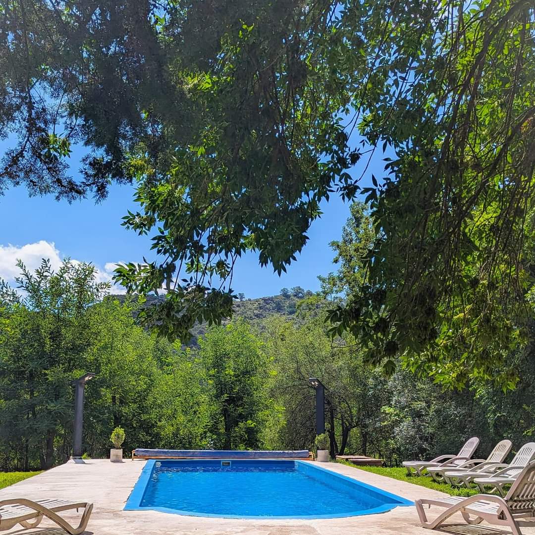 An outdoor swimming pool is surrounded by lush greenery, with a clear blue sky above. Lounge chairs are positioned around the pool, inviting relaxation in a serene natural setting. The distant hills can be seen, enhancing the peaceful atmosphere.