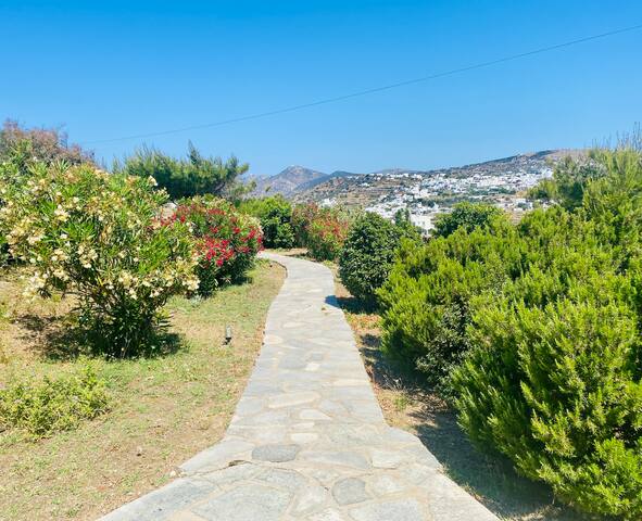 Villa Barou gallery image 4