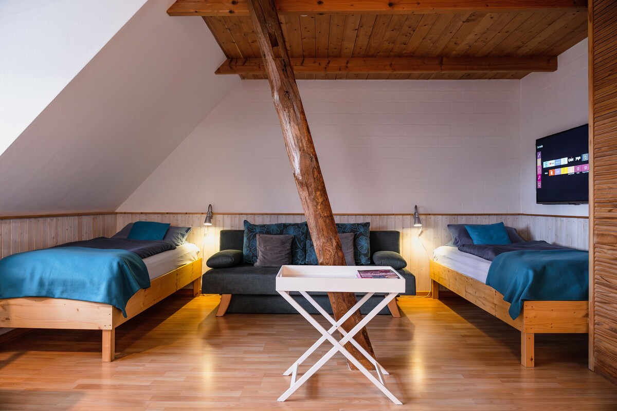 منطقة نوم مع تلفزيون ذكي وسريرين مفردين وسرير أريكة. يمكن تجميع الأسرّة الفردية معًا كسرير مزدوج إذا لزم الأمر.