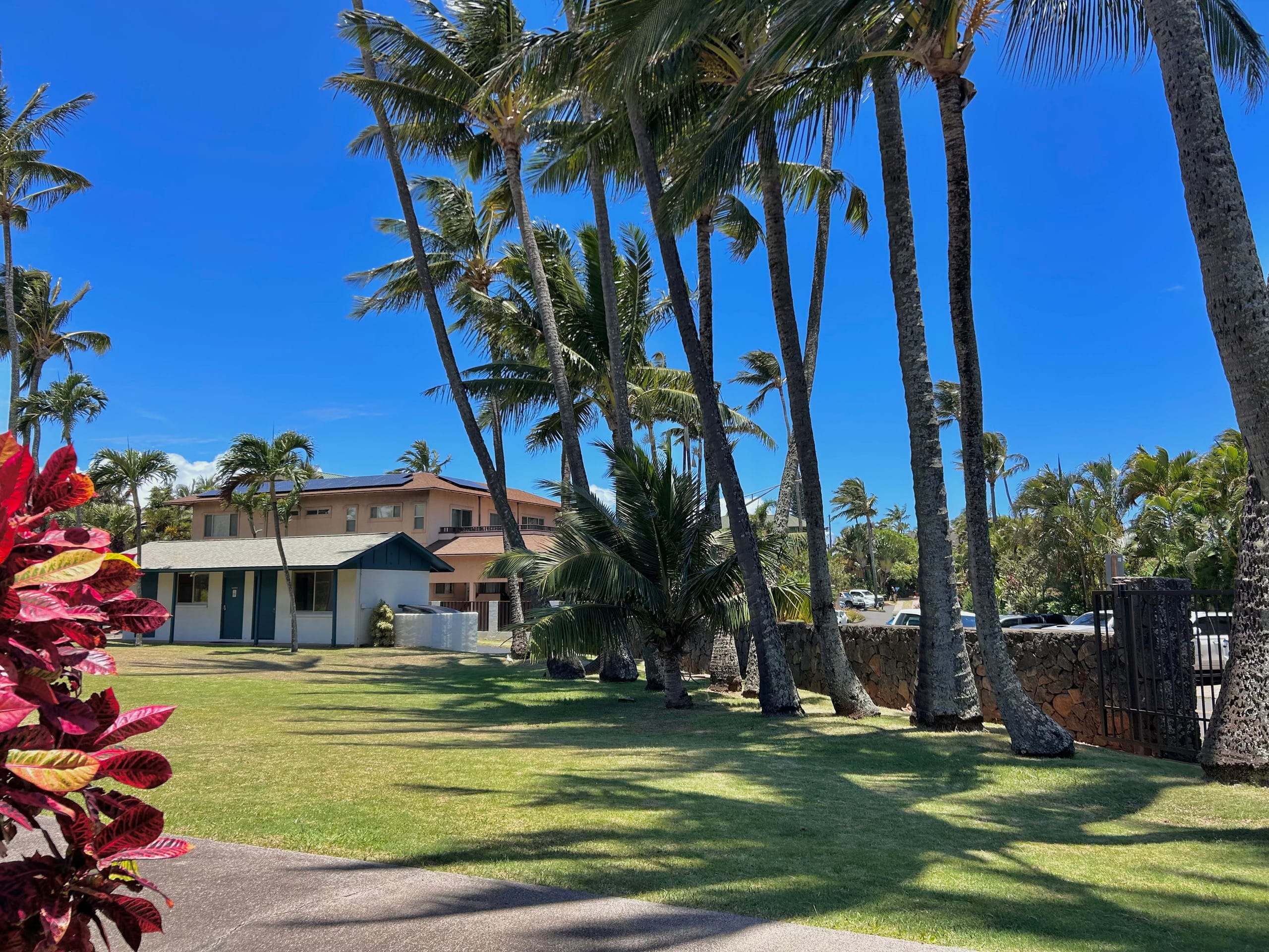 Condo in Paia · ★4.93 · 1 bedroom · 2 beds · 1 bath - Image 15