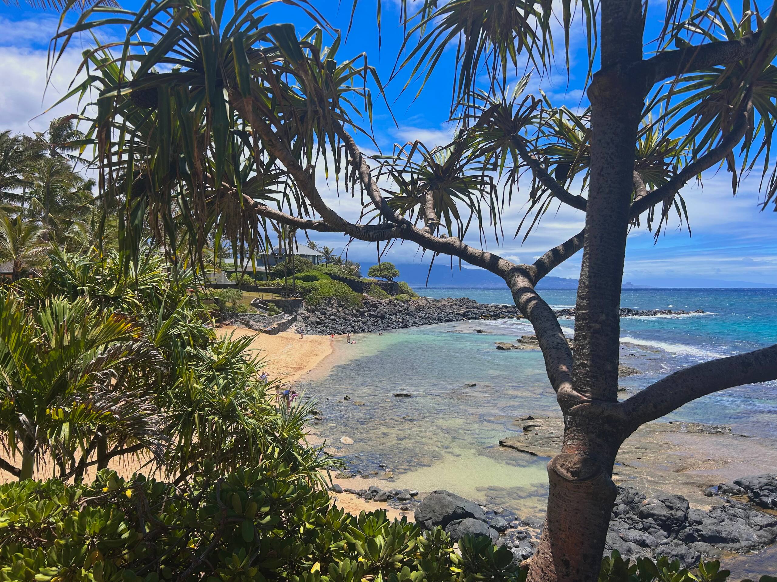 Condo in Paia · ★4.93 · 1 bedroom · 2 beds · 1 bath - Image 17