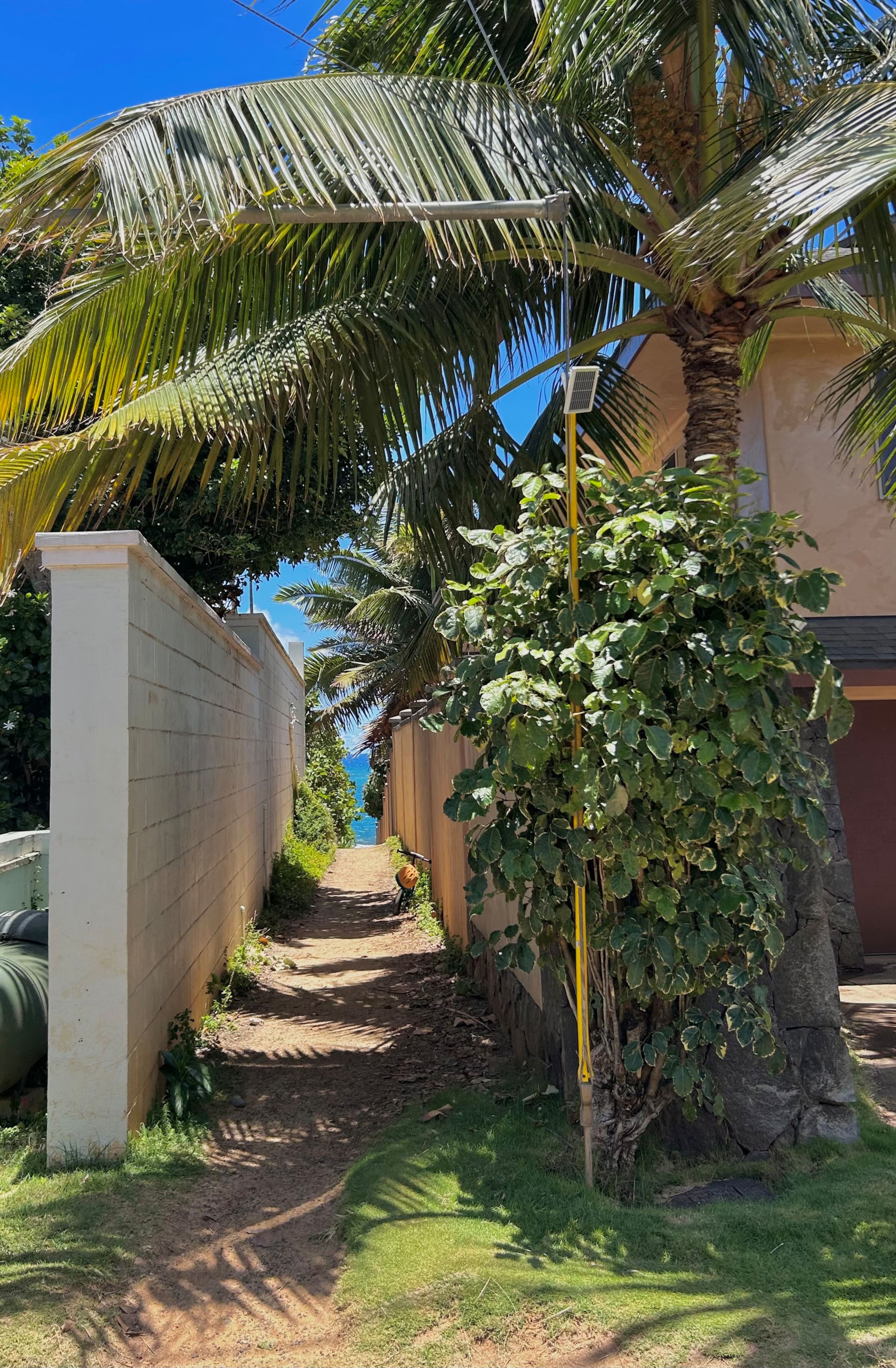 Condo in Paia · ★4.93 · 1 bedroom · 2 beds · 1 bath - Image 16
