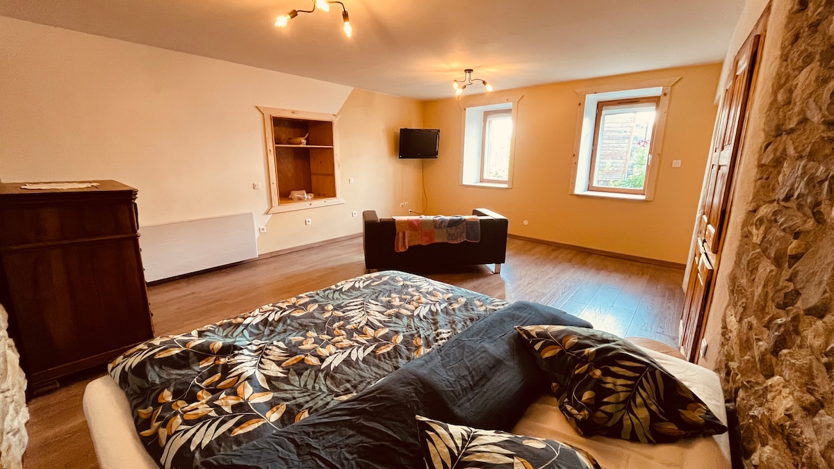 An inviting living area features a double bed adorned with a patterned duvet and decorative pillows. A wooden dresser and a dark sofa create a comfortable layout. Natural light enters through two windows, illuminating the warm-toned walls and wooden flooring.