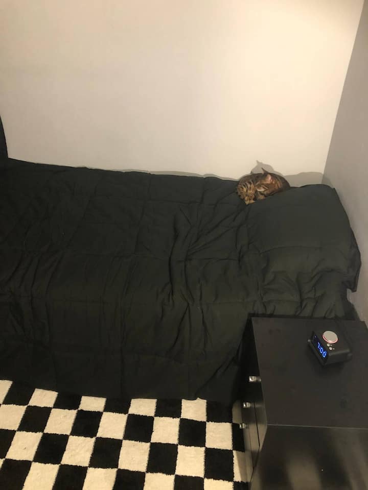 Симба обича двойното ви легло XL!