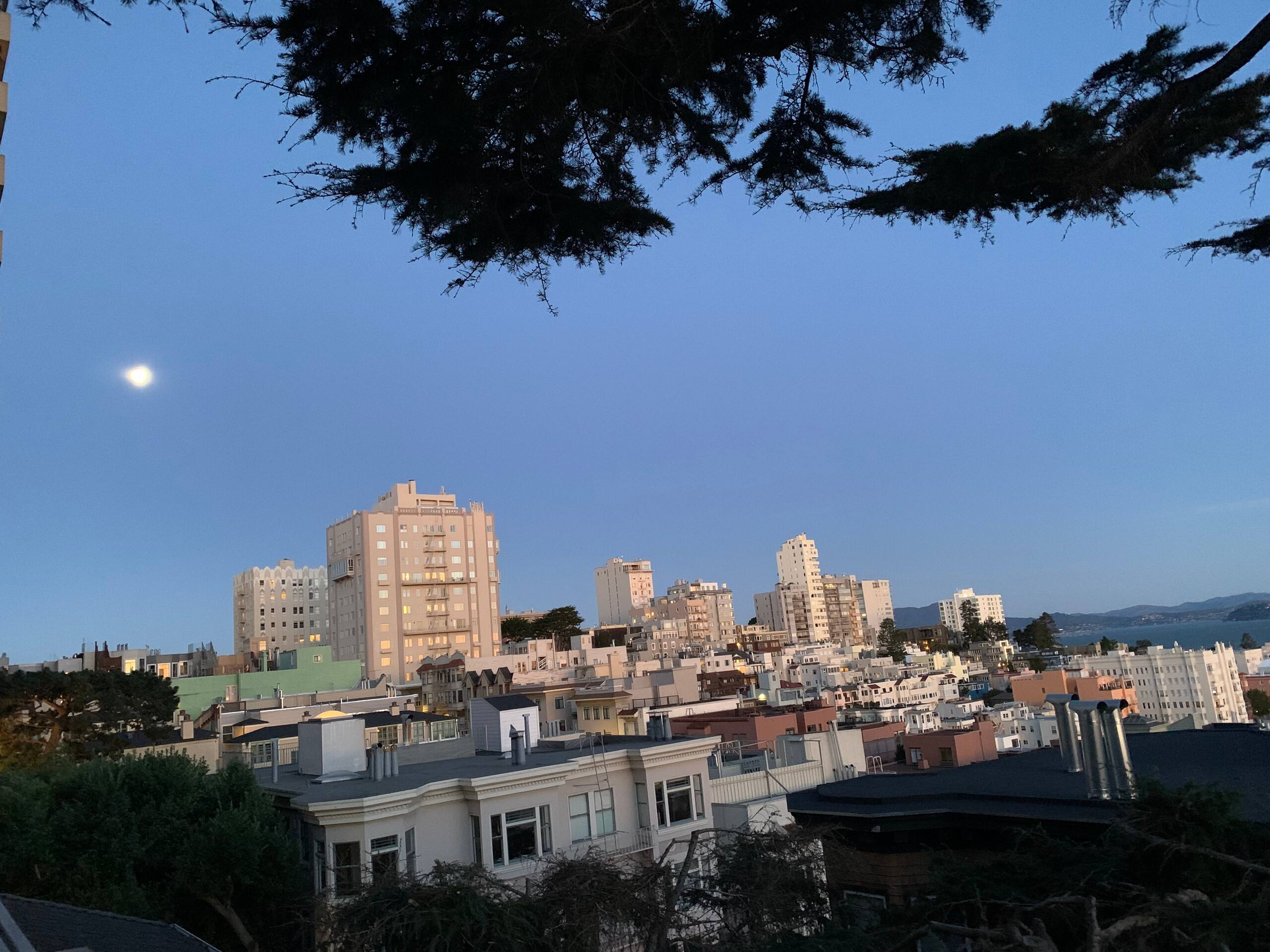 Condo in San Francisco · ★4.93 · 3 bedrooms · 3 beds · 2 baths - Image 31