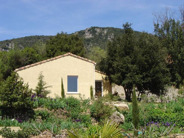 Aux Quatrefeuilles D'oc - Gîte Laurier - Lodève