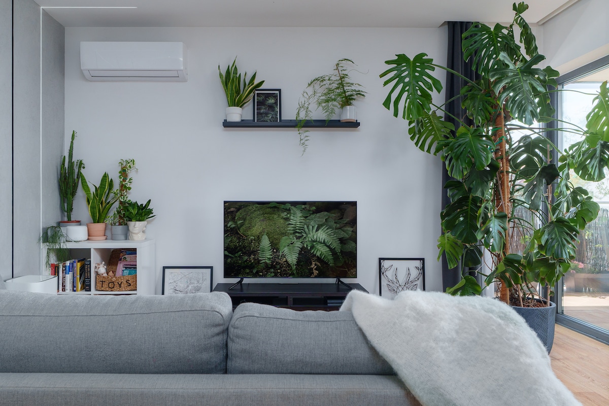 A modern living space is displayed, featuring a comfortable gray sofa draped with a soft throw. Indoor plants are arranged on a wall shelf and beside the television, which displays a vibrant nature scene. Natural light filters in through large windows.