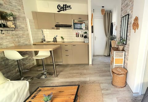 Top performing Airbnb: Studio center Cannes renovated with parking space in Cannes