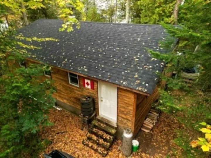 Private Beachfront Cabin On Lake Superior - Trout Lake