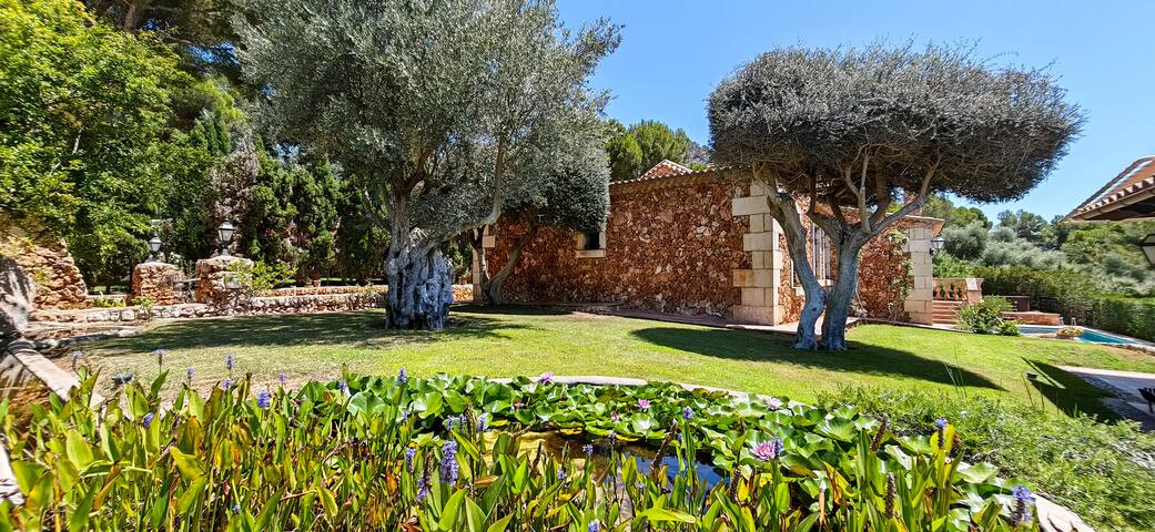 Stunning villa on the coast with pool and Wi-Fi gallery image 5