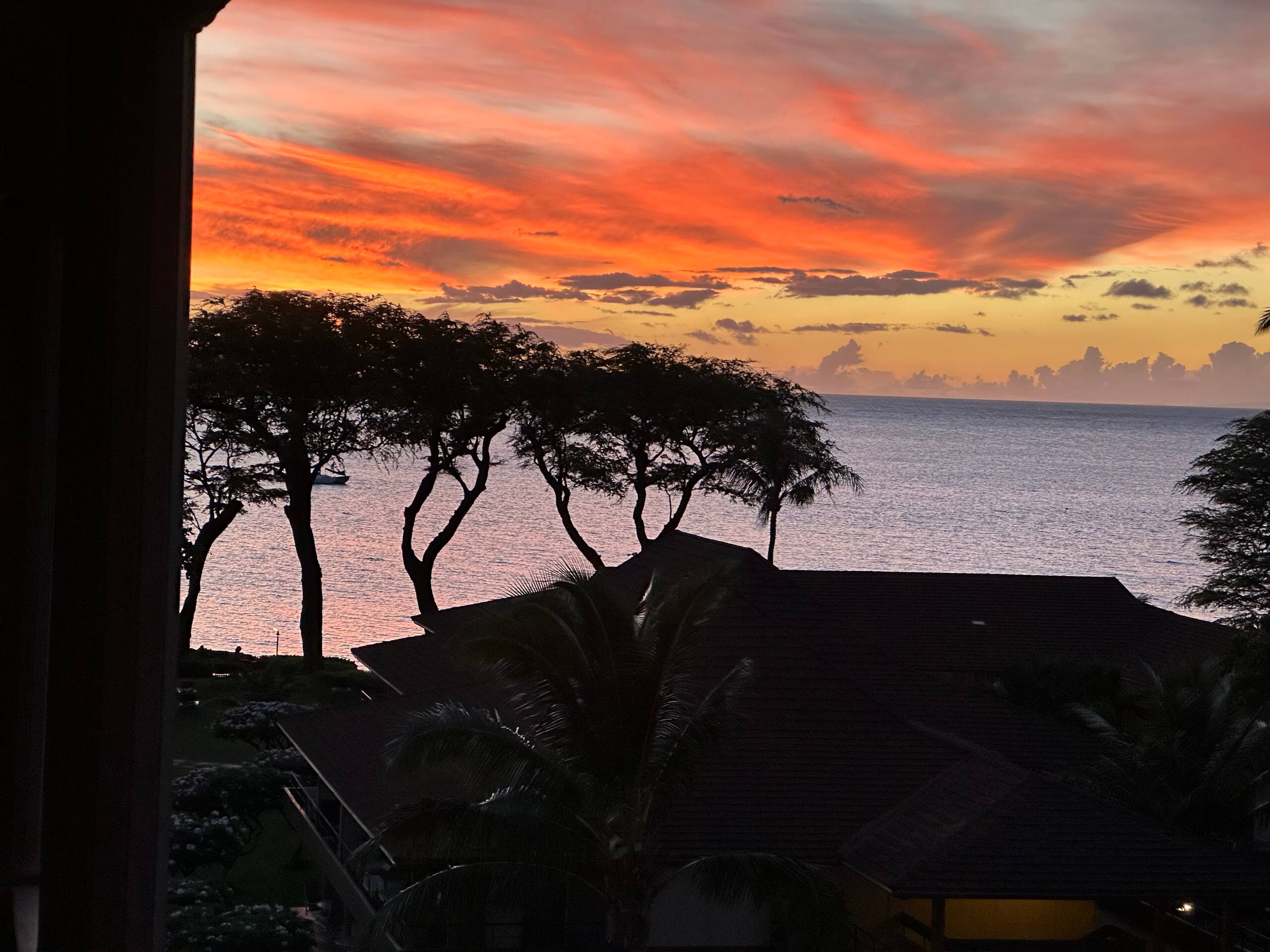 Condo in Lahaina · ★4.88 · 1 bedroom · 2 beds · 1 bath - Image 14