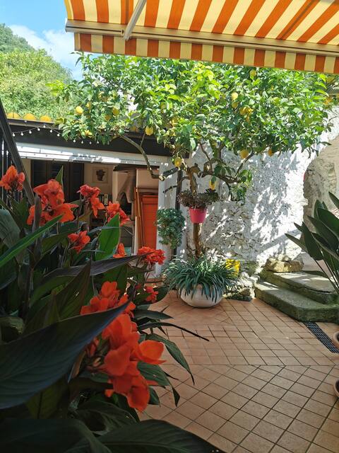"Lemon Tree House" ideal for families and groups