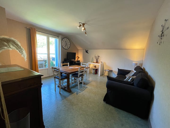Grand Logement De 80 M2 Lumineux Et Calme 4/5 P - Arreau