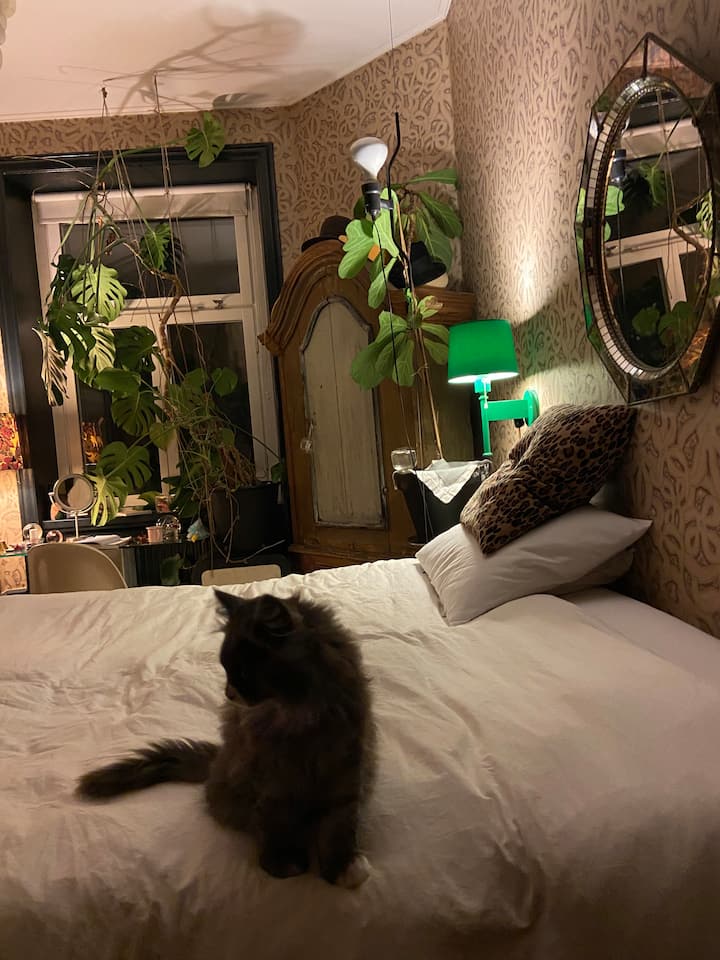 ห้องนอน1