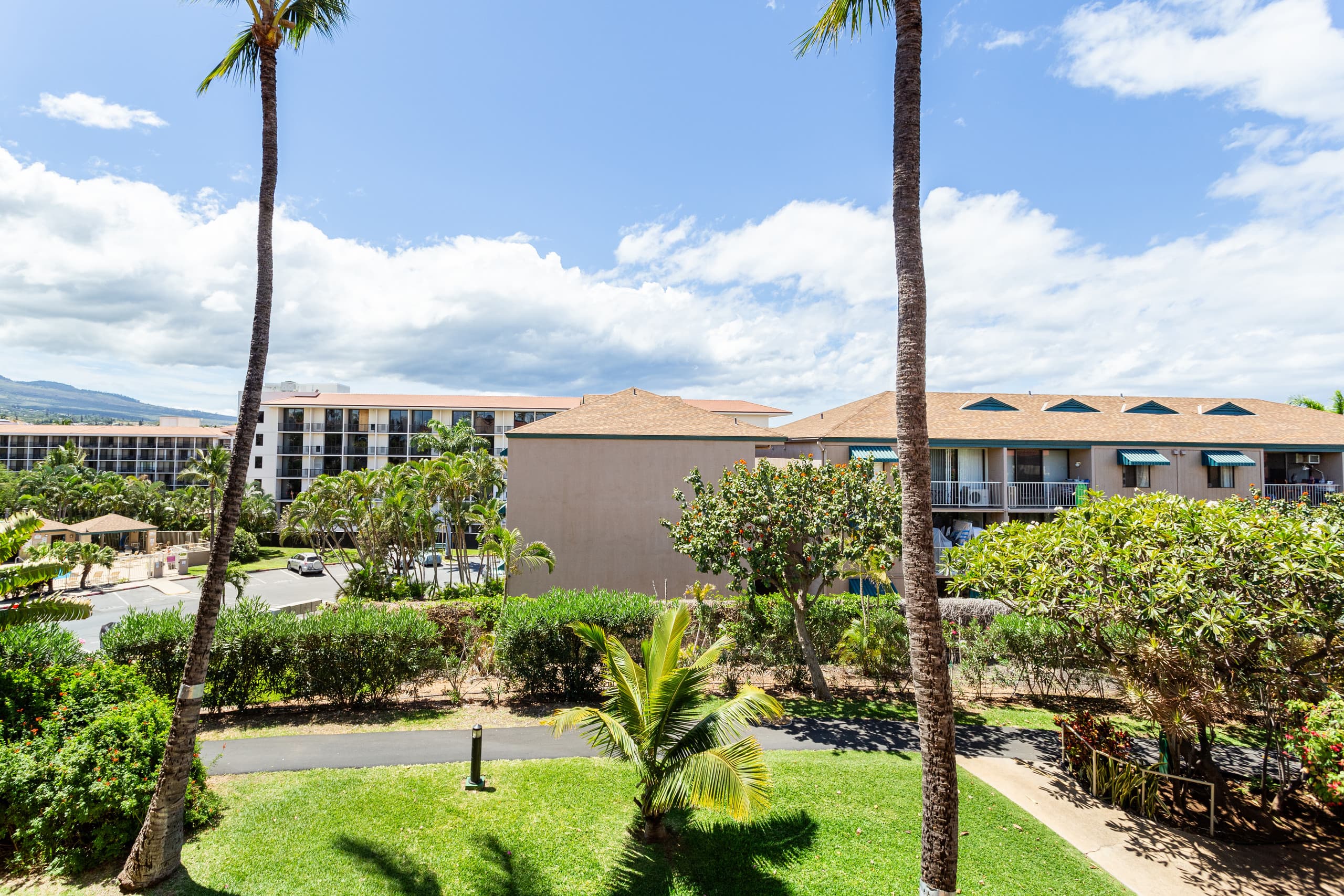 Condo in Kihei · ★4.98 · 1 bedroom · 1 bed · 1 private bath - Image 25