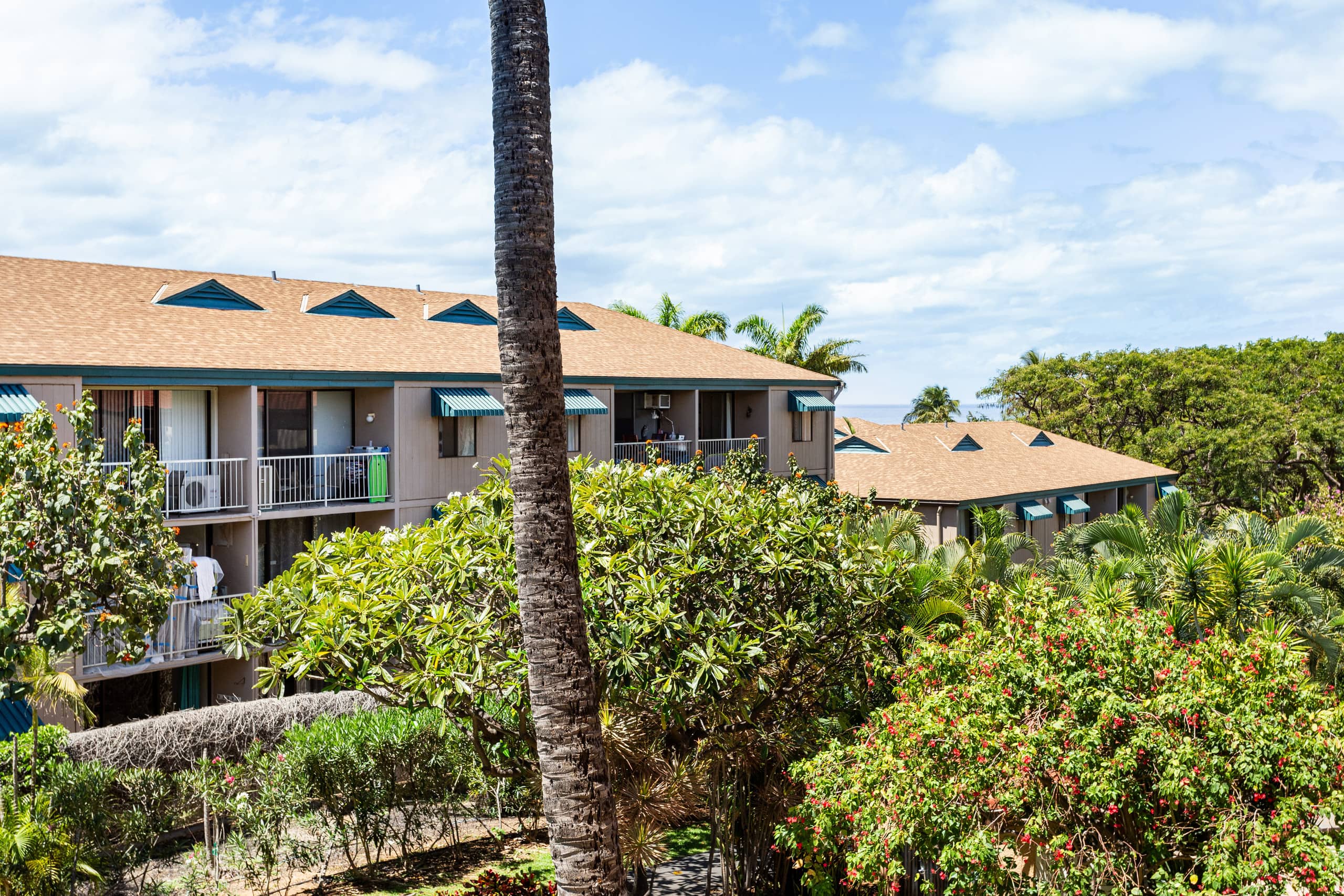 Condo in Kihei · ★4.98 · 1 bedroom · 1 bed · 1 private bath - Image 28