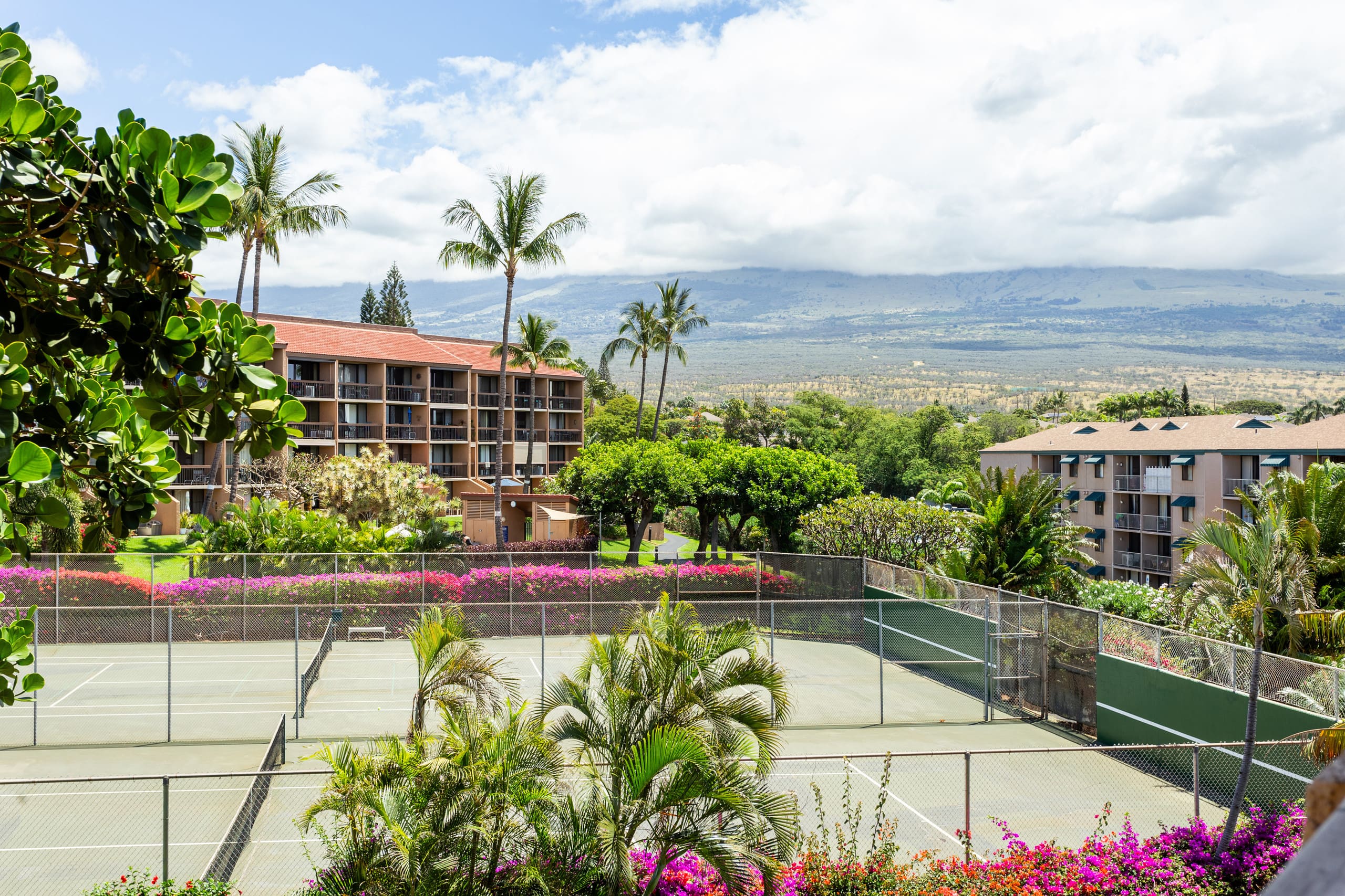 Condo in Kihei · ★4.98 · 1 bedroom · 1 bed · 1 private bath - Image 26