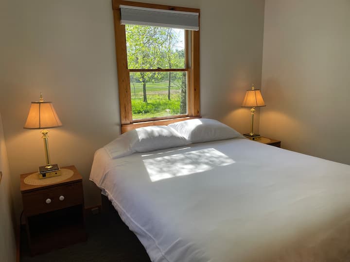 Une chambre a un lit queen size