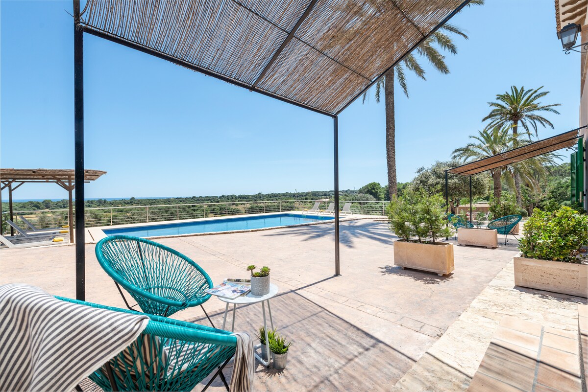 A shaded seating area is framed by tall palm trees, offering views of a spacious pool and landscaping. The outdoor space features a light-colored stone patio, accented by green plants and an inviting blue chair, creating a serene setting for relaxation.