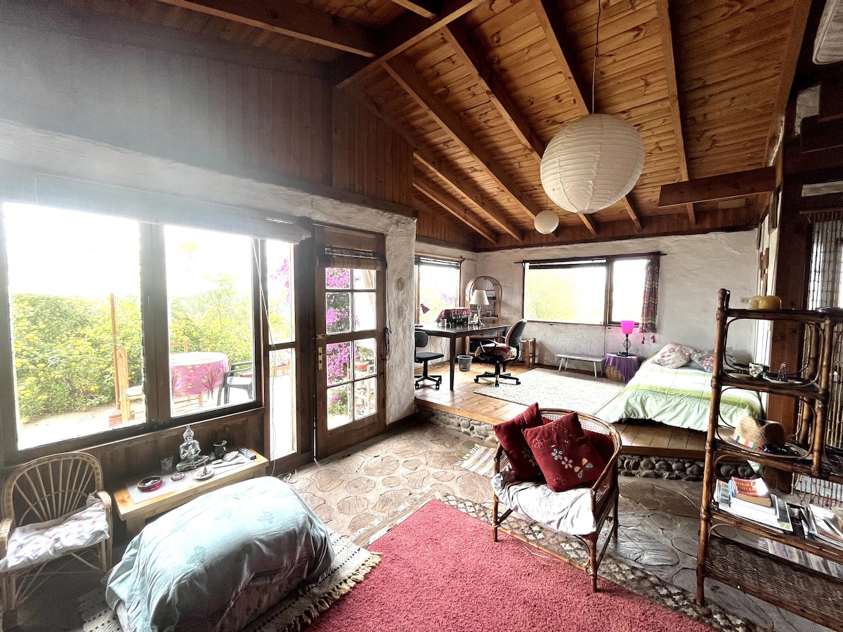 נוף מלא של הסלון והשולחן עם אזור עבודה ומיטת יחיד נוספת