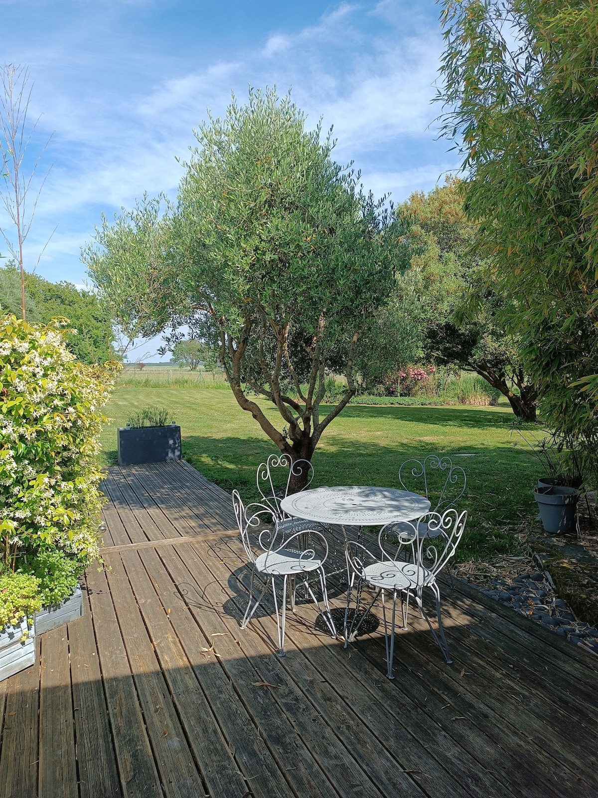 A decked area features a round table surrounded by four intricately designed chairs, nestled under the shade of an olive tree. The grassy landscape extends into the distance, accented by various greenery and a clear blue sky.