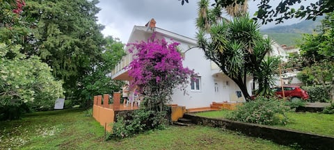 Villa Alge (large villa 40 meters from the sea)