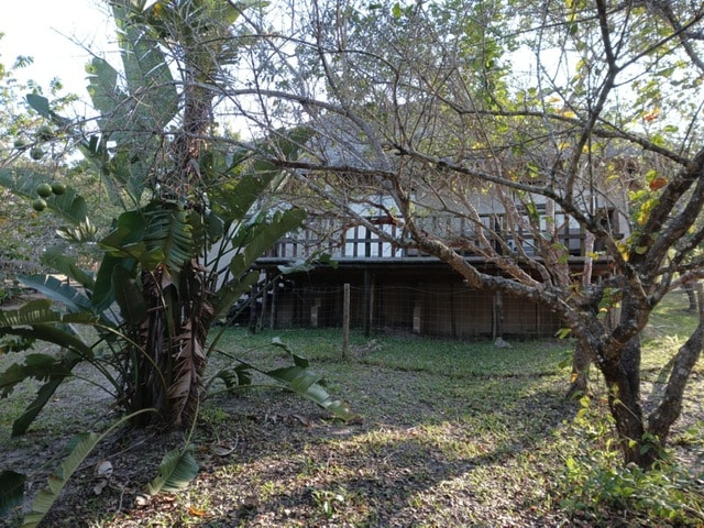 A natural setting is depicted, featuring a wooden structure elevated on stilts among a lush, green landscape. Various trees and foliage create a serene atmosphere, with a gentle interplay of light and shadows on the ground. The area maintains a rustic, untouched feel.