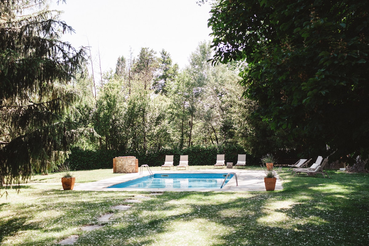 A serene outdoor pool is surrounded by lush greenery, featuring several sun loungers arranged along the pool's edge. Potted plants add a touch of nature, while a stone wall provides a backdrop to the tranquil setting. The scene is illuminated by soft natural light.