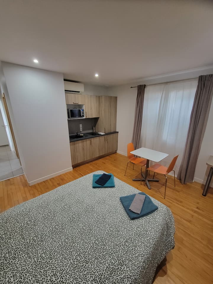 Charmant Studio Meublé Au Calme à Toulouse - Tolosa, Francia