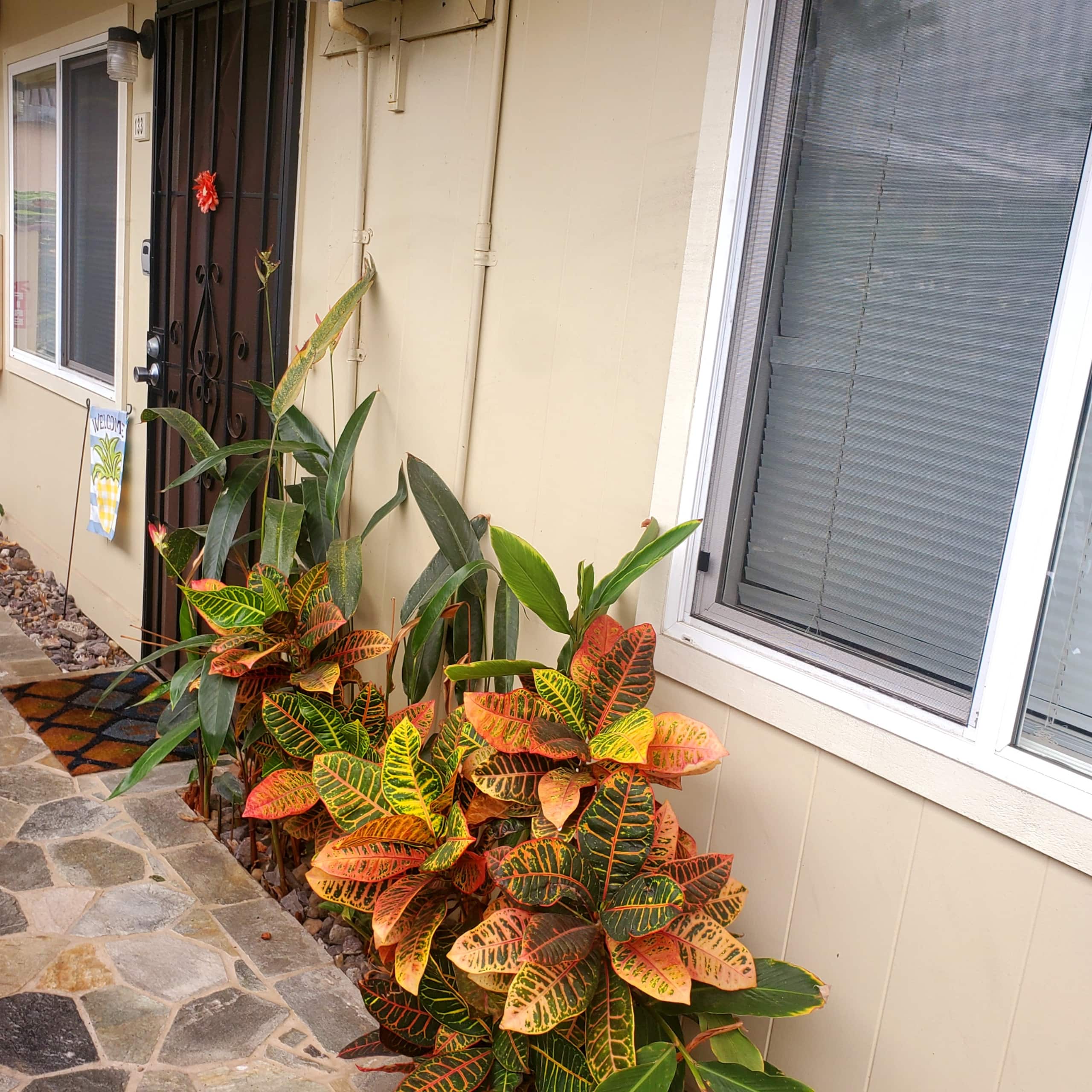 Kona Shores Hawaii's most friendly Airbnb Complex! - Photo 22