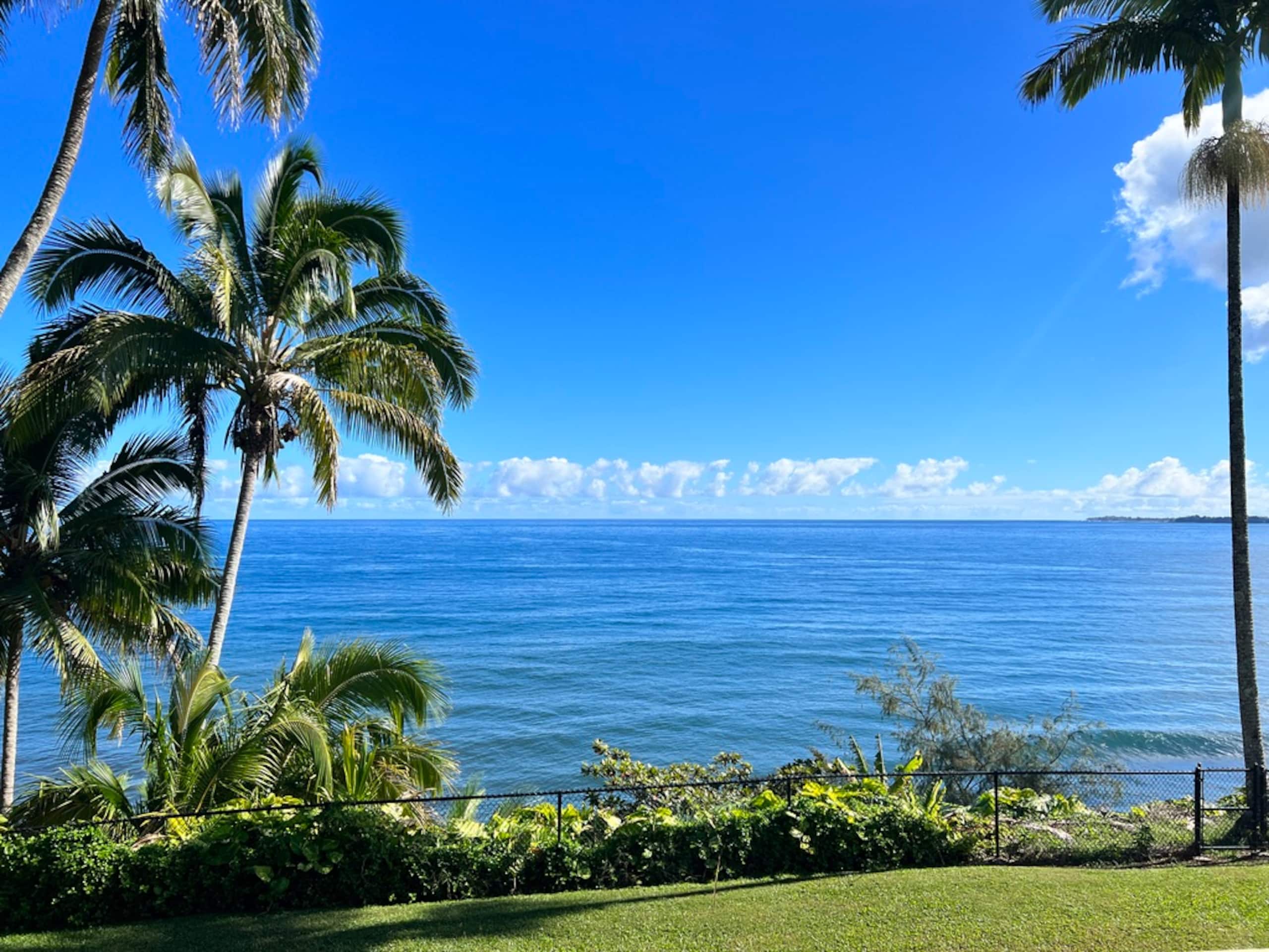 Home in Hilo · ★4.84 · 2 bedrooms · 4 beds · 2 baths - Image 29