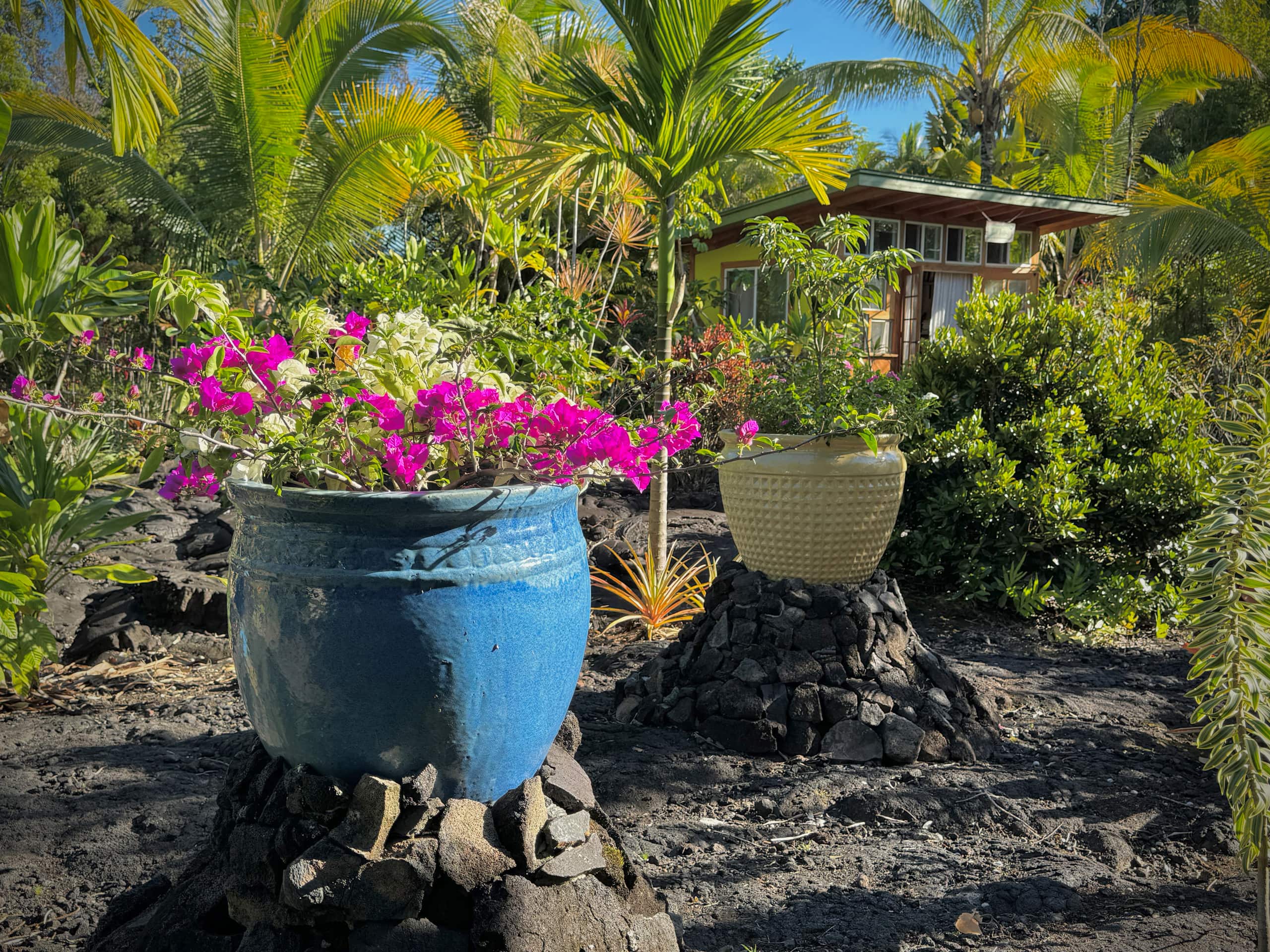 Home in Keaau · ★4.76 · 3 bedrooms · 3 beds · 2 shared baths - Image 22