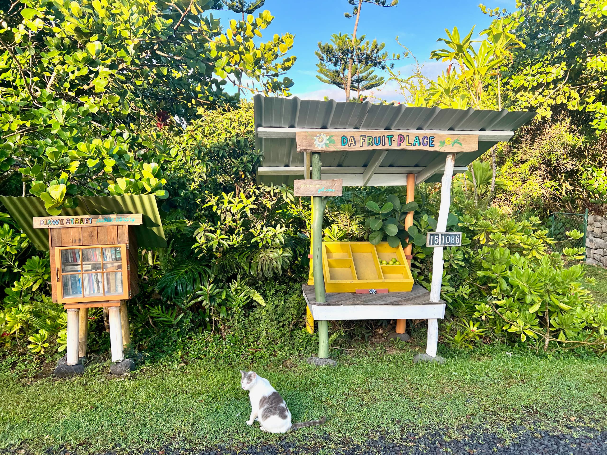 Home in Keaau · ★4.76 · 3 bedrooms · 3 beds · 2 shared baths - Image 23