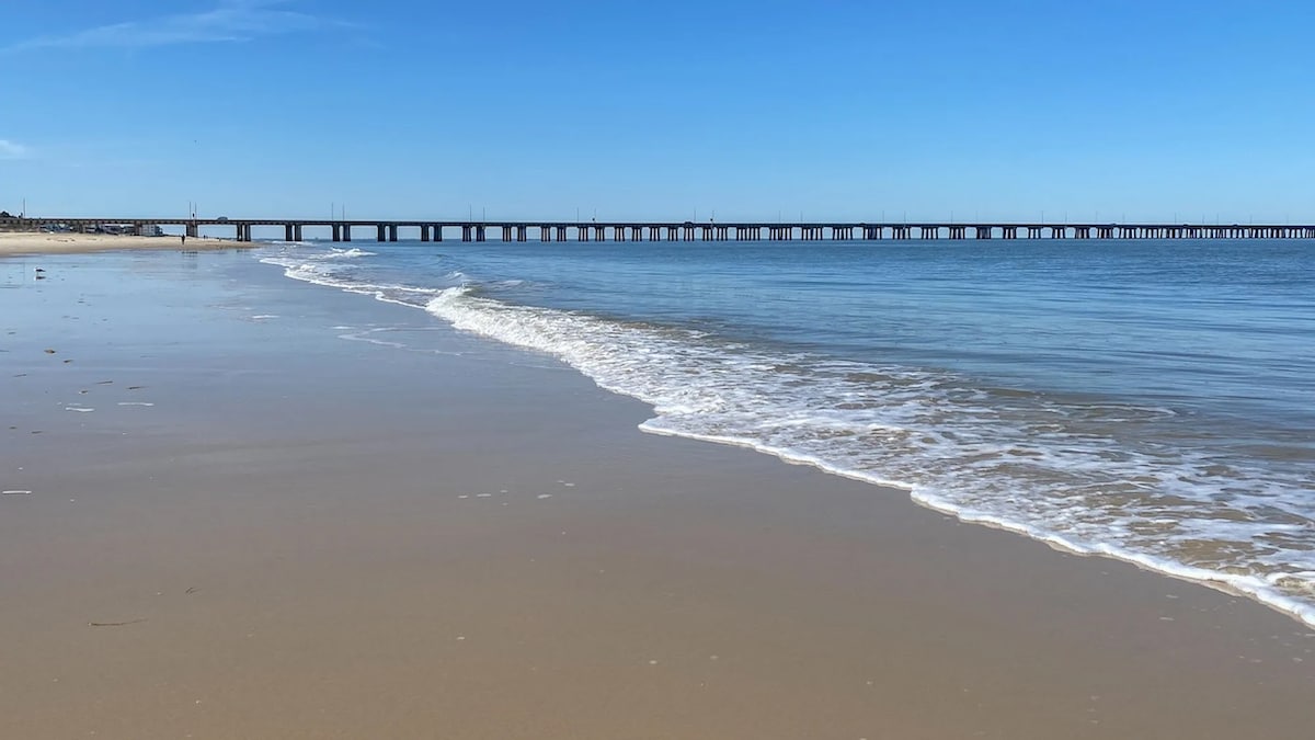 A serene beach scene captures gentle waves lapping at a sandy shore under a clear blue sky. In the distance, a long pier extends over calm waters, providing a distant point of interest against the tranquil backdrop.