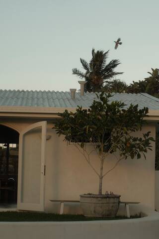 Alchemy gallery image 3