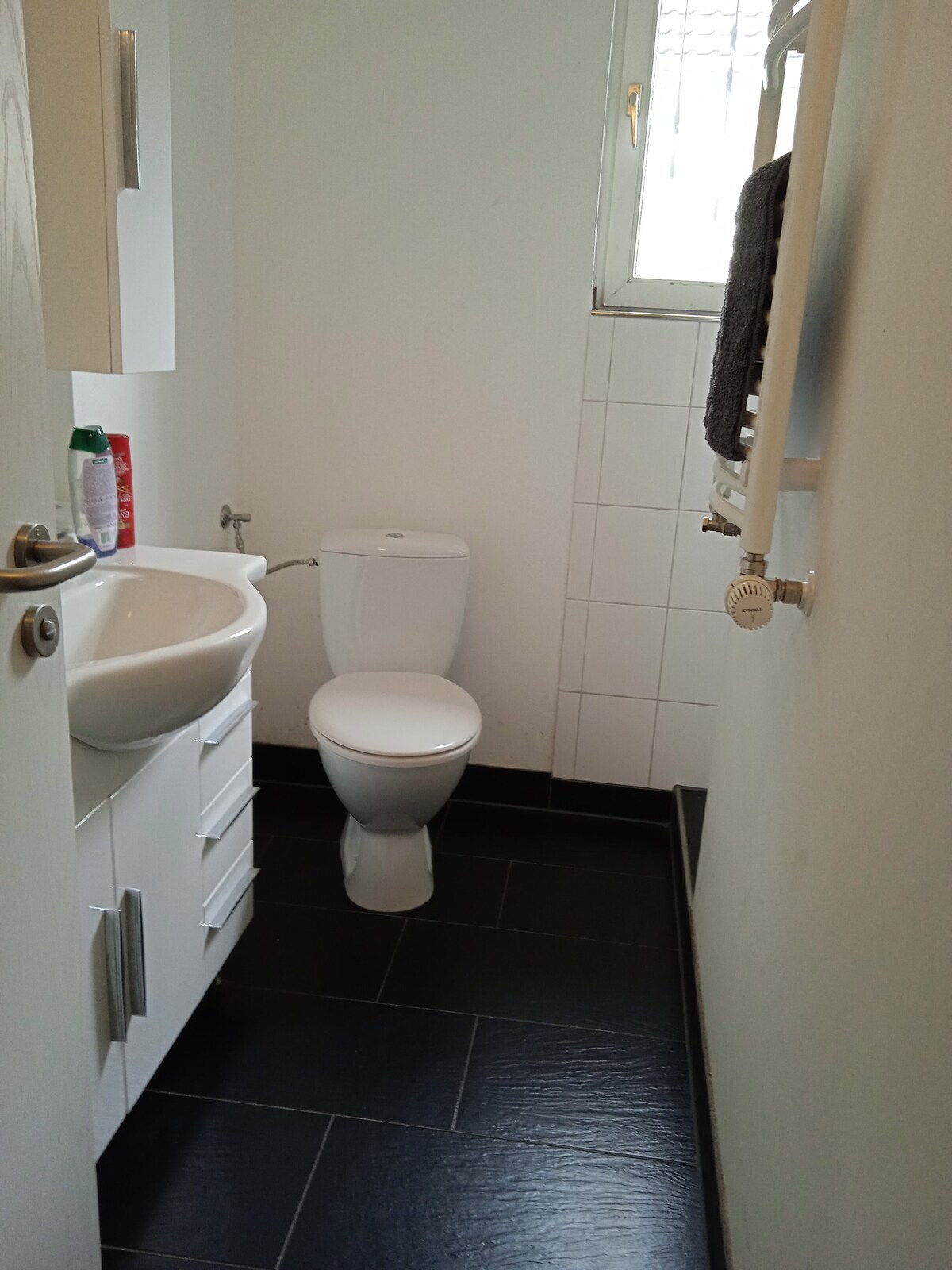 A compact bathroom is showcased, featuring a wall-mounted sink and a modern toilet. Glossy black floor tiles provide contrast to the white walls and cabinetry. A small window allows natural light to enter, while a towel rack is mounted nearby for convenience.