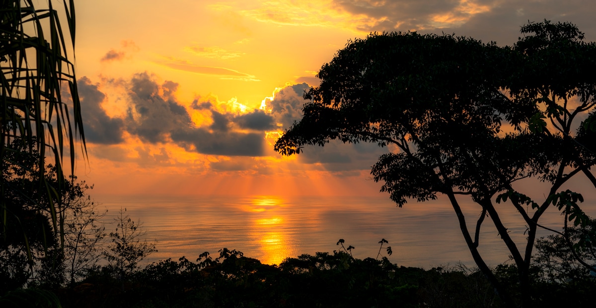 A stunning sunset over the Pacific Ocean is captured, with warm hues of orange and gold reflecting on the water's surface. Silhouettes of lush trees frame the scene, creating a tranquil and inviting atmosphere against the backdrop of the setting sun.