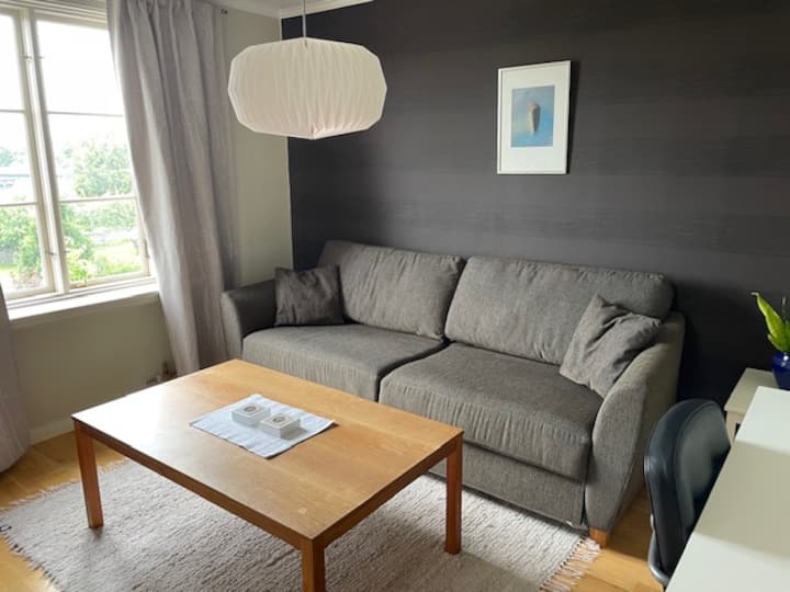 客厅配有双人沙发床、电视和书桌。