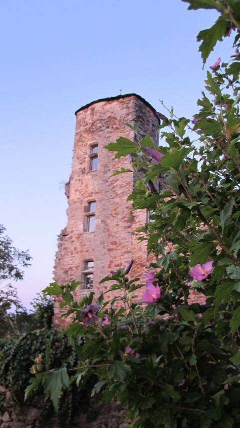 13th century mansion in medieval village