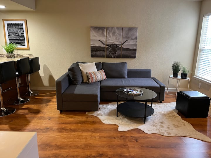 Modern Condo Pool, Gym, Desk, Long Term Stays - Austin, TX