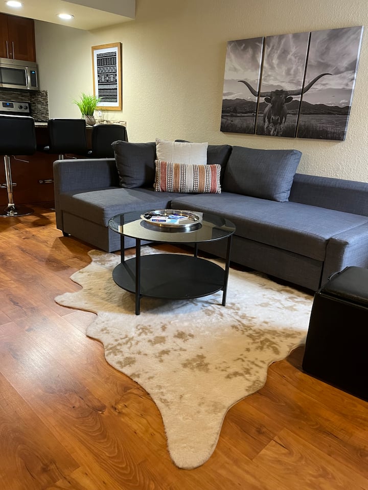 Modern Condo Pool, Gym, Desk, Long Term Stays - Austin, TX
