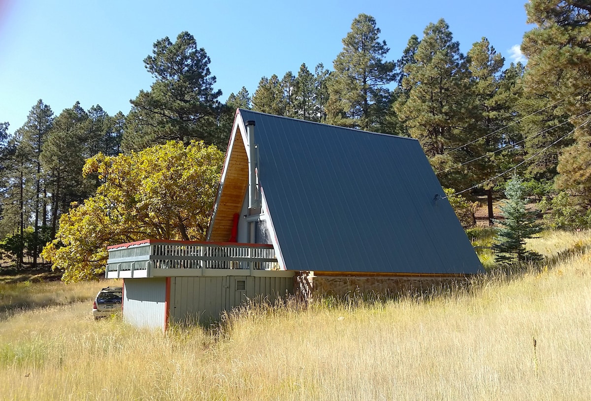 A vintage A-frame cabin is nestled in a grassy area surrounded by tall trees. The metal roof reflects sunlight. A spacious front deck extends from the cabin, offering a place to admire the natural surroundings.