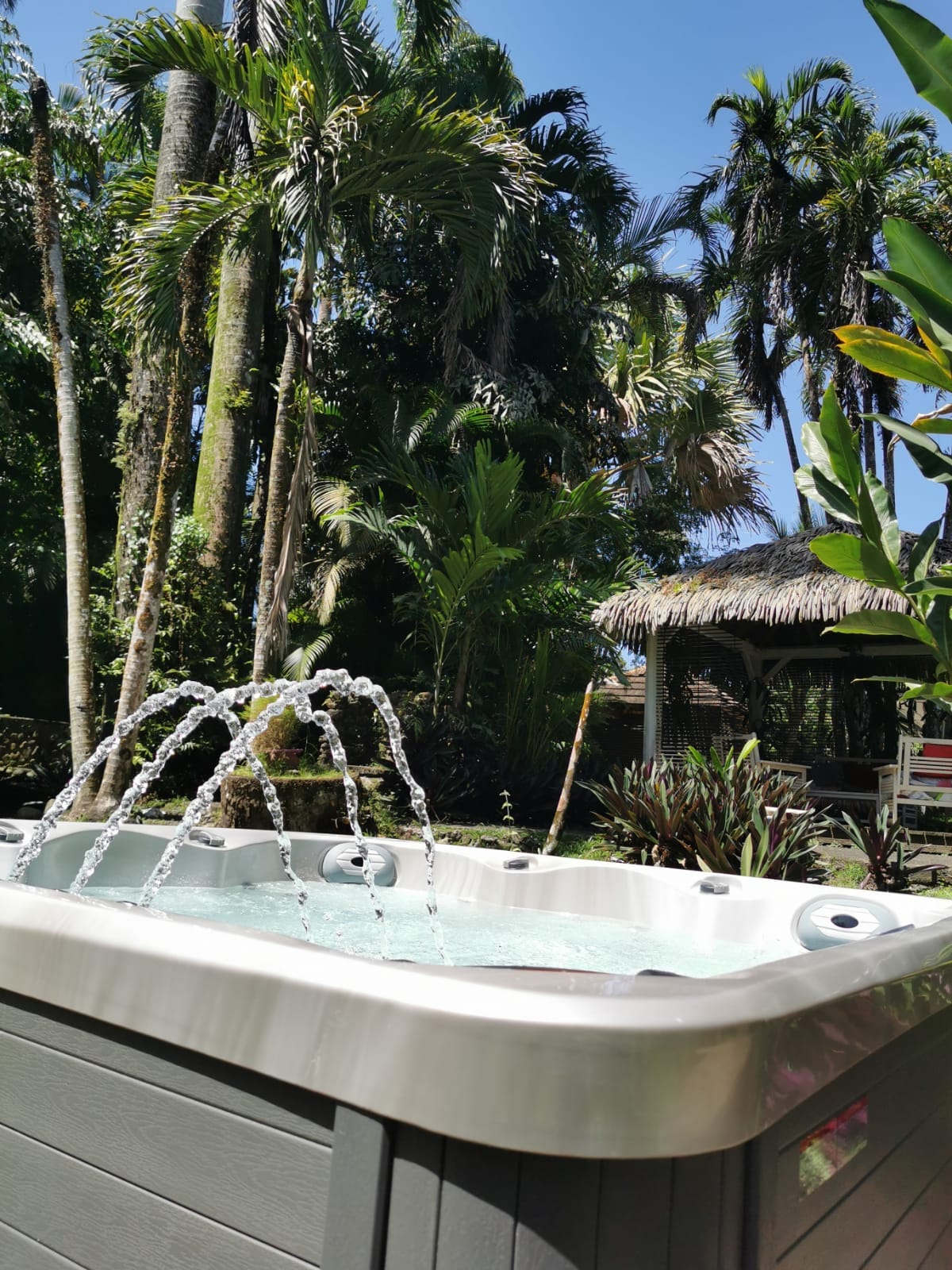 A spa is featured amidst lush tropical greenery, with water gently cascading from its jets. The space is surrounded by tall palm trees and other foliage, offering a secluded and tranquil atmosphere. A thatched-roof structure can be seen in the background.