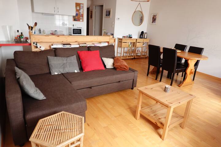 Appartement De Charme Au Coeur Du Puy-en-velay ! - Le Puy-en-Velay