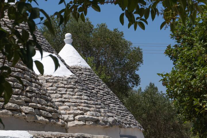 Domus Messapia gallery image 3