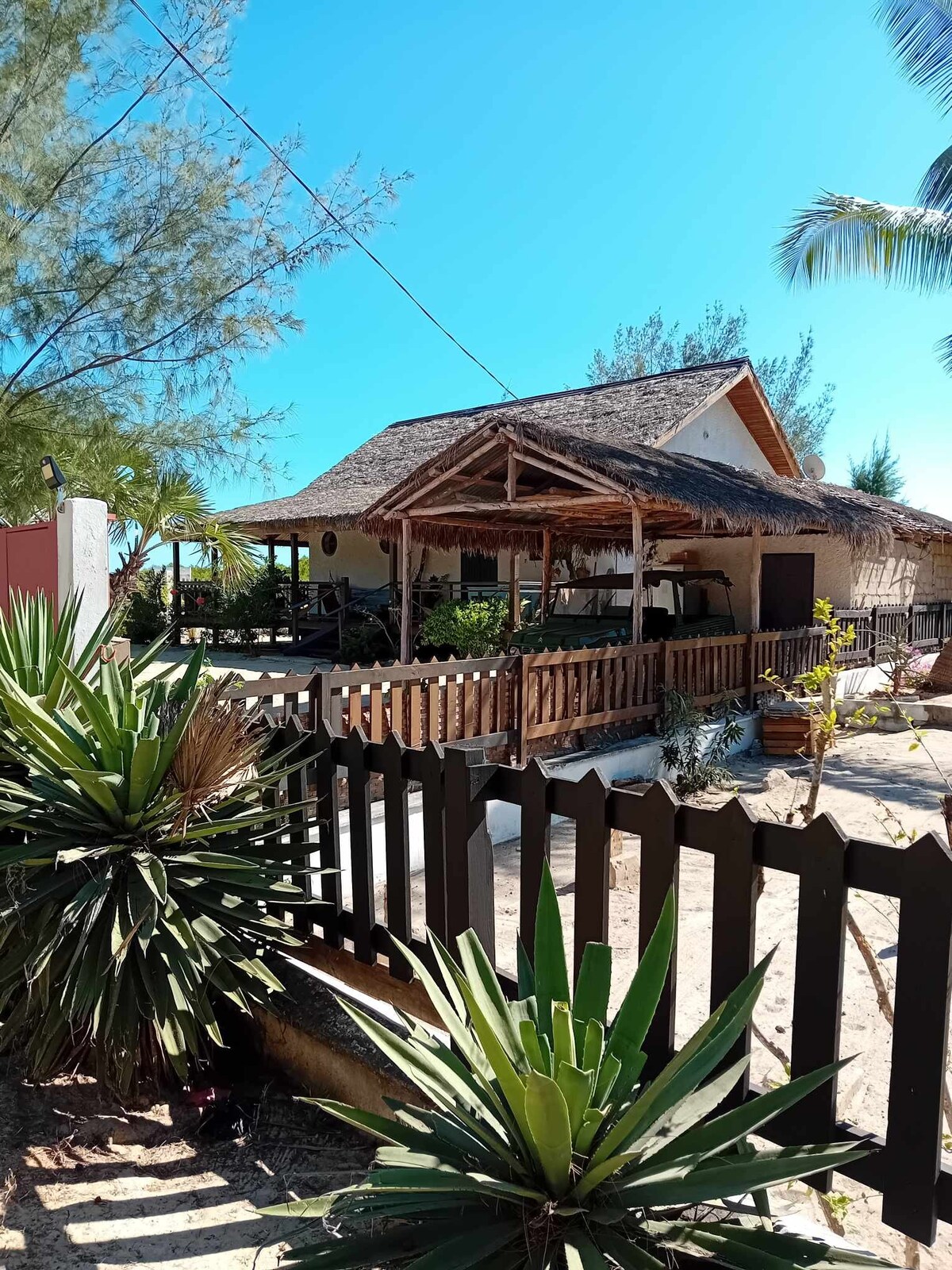 A welcoming exterior view of a thatched-roof house is shown, surrounded by lush greenery and a wooden fence. Sunlight illuminates the sandy area and the vibrant foliage, creating a serene atmosphere. The porch offers space for relaxation and enjoyment of the coastal environment.