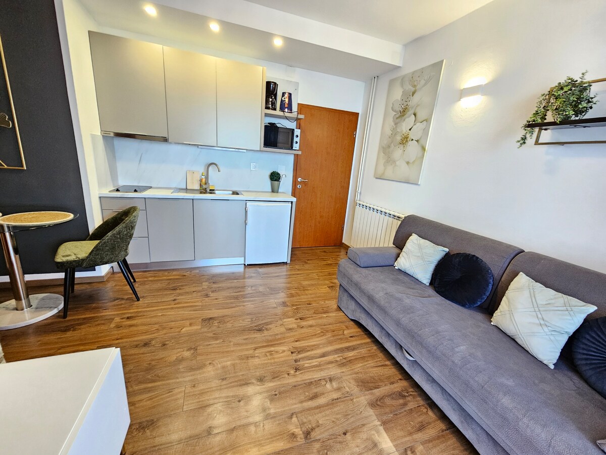 ap2 · Apartment seaview