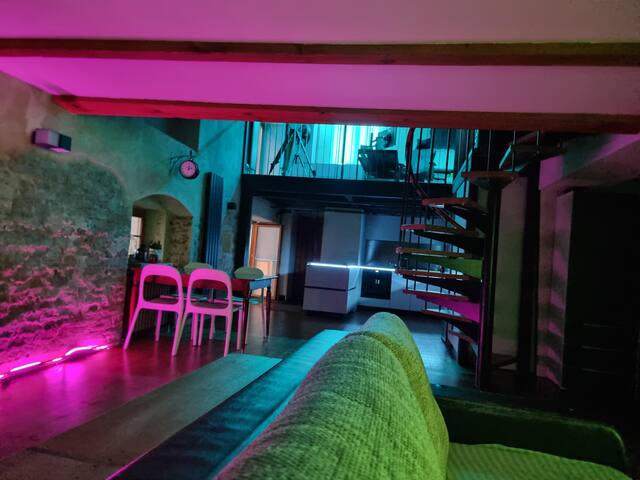 Old-Town Large Loft Apartment