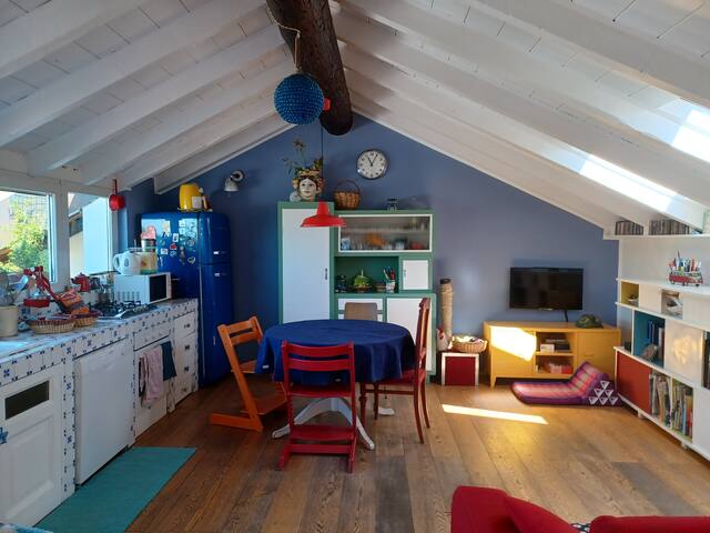 Wonderful apartment Garibaldi Isola with terrace