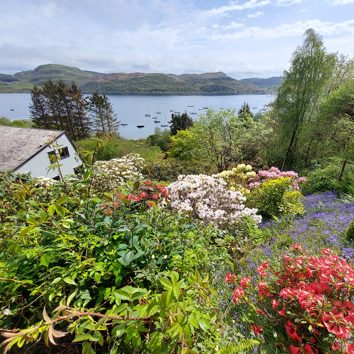 Room with View of Loch Craignish
Licence AR02380F - Clachan of Glendaruel